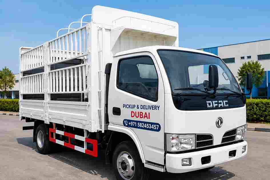 3 TON PICKUP RENTAL SERVICES IN DUBAI